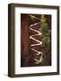 Utah, Zion National Park, Hikers on Walters Wiggles Zigzag-David Wall-Framed Photographic Print