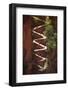 Utah, Zion National Park, Hikers on Walters Wiggles Zigzag-David Wall-Framed Photographic Print