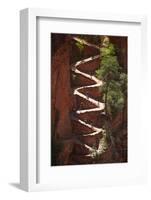 Utah, Zion National Park, Hikers on Walters Wiggles Zigzag-David Wall-Framed Photographic Print