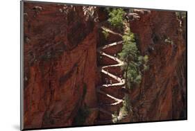 Utah, Zion National Park, Hikers on Walters Wiggles Zigzag-David Wall-Mounted Photographic Print