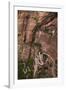 Utah, Zion National Park, Hikers on Zigzag Track in Zion Canyon Up West Rim Trail-David Wall-Framed Photographic Print