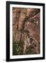 Utah, Zion National Park, Hikers on Zigzag Track in Zion Canyon Up West Rim Trail-David Wall-Framed Photographic Print