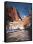 Utah, Zion National Park, Landscape by the North Fork Virgin River, Winter, USA-Walter Bibikow-Framed Stretched Canvas