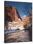 Utah, Zion National Park, Landscape by the North Fork Virgin River, Winter, USA-Walter Bibikow-Stretched Canvas