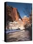 Utah, Zion National Park, Landscape by the North Fork Virgin River, Winter, USA-Walter Bibikow-Stretched Canvas