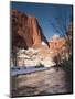 Utah, Zion National Park, Landscape by the North Fork Virgin River, Winter, USA-Walter Bibikow-Mounted Photographic Print