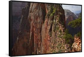 Utah, Zion National Park, Marrow Steep Hiking Track Leading to Angels Landing-David Wall-Framed Stretched Canvas