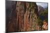 Utah, Zion National Park, Marrow Steep Hiking Track Leading to Angels Landing-David Wall-Mounted Photographic Print