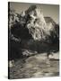 Utah, Zion National Park, Mountain Vista and North Fork Virgin River by Emerald Pools Area, USA-Walter Bibikow-Stretched Canvas