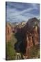 Utah, Zion National Park, Observation Point, Canyonseen from Angels Landing-David Wall-Stretched Canvas