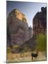 Utah, Zion National Park, the Great White Throne, USA-Alan Copson-Mounted Photographic Print