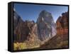 Utah, Zion National Park, the Great White Throne, USA-Alan Copson-Framed Stretched Canvas