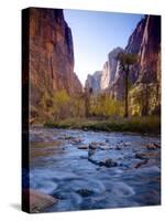 Utah, Zion National Park, the Narrows of North Fork Virgin River, USA-Alan Copson-Stretched Canvas