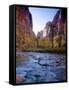 Utah, Zion National Park, the Narrows of North Fork Virgin River, USA-Alan Copson-Framed Stretched Canvas