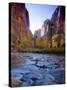 Utah, Zion National Park, the Narrows of North Fork Virgin River, USA-Alan Copson-Stretched Canvas