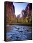 Utah, Zion National Park, the Narrows of North Fork Virgin River, USA-Alan Copson-Framed Stretched Canvas