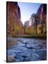 Utah, Zion National Park, the Narrows of North Fork Virgin River, USA-Alan Copson-Stretched Canvas