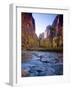 Utah, Zion National Park, the Narrows of North Fork Virgin River, USA-Alan Copson-Framed Photographic Print