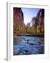 Utah, Zion National Park, the Narrows of North Fork Virgin River, USA-Alan Copson-Framed Photographic Print