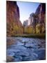 Utah, Zion National Park, the Narrows of North Fork Virgin River, USA-Alan Copson-Mounted Photographic Print