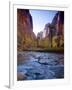 Utah, Zion National Park, the Narrows of North Fork Virgin River, USA-Alan Copson-Framed Photographic Print