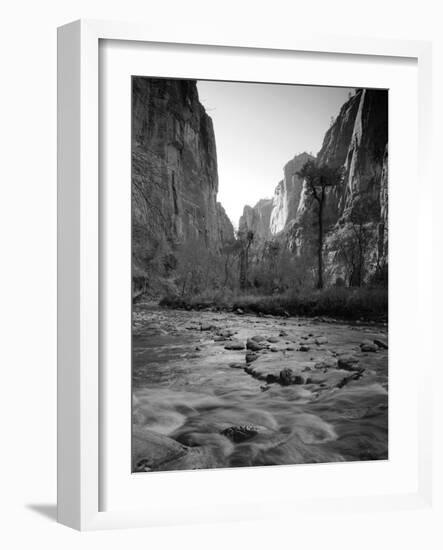 Utah, Zion National Park, the Narrows of North Fork Virgin River, USA-Alan Copson-Framed Photographic Print