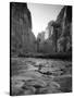 Utah, Zion National Park, the Narrows of North Fork Virgin River, USA-Alan Copson-Stretched Canvas