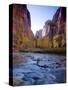 Utah, Zion National Park, the Narrows of North Fork Virgin River, USA-Alan Copson-Stretched Canvas