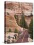 Utah, Zion National Park, USA-Alan Copson-Stretched Canvas