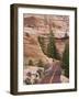 Utah, Zion National Park, USA-Alan Copson-Framed Photographic Print