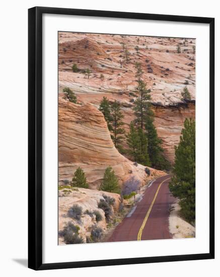 Utah, Zion National Park, USA-Alan Copson-Framed Photographic Print