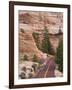 Utah, Zion National Park, USA-Alan Copson-Framed Photographic Print