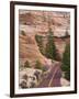 Utah, Zion National Park, USA-Alan Copson-Framed Photographic Print