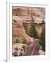 Utah, Zion National Park, USA-Alan Copson-Framed Photographic Print