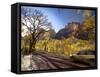 Utah, Zion National Park, USA-Alan Copson-Framed Stretched Canvas