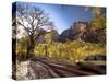 Utah, Zion National Park, USA-Alan Copson-Stretched Canvas