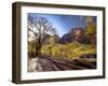 Utah, Zion National Park, USA-Alan Copson-Framed Photographic Print