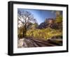 Utah, Zion National Park, USA-Alan Copson-Framed Photographic Print