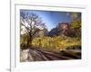 Utah, Zion National Park, USA-Alan Copson-Framed Photographic Print