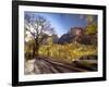 Utah, Zion National Park, USA-Alan Copson-Framed Photographic Print