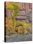 Utah, Zion National Park, Virgin River-Jamie & Judy Wild-Stretched Canvas