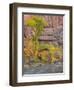 Utah, Zion National Park, Virgin River-Jamie & Judy Wild-Framed Photographic Print