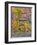 Utah, Zion National Park, Virgin River-Jamie & Judy Wild-Framed Photographic Print