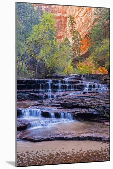 Utah, Zion National Park, Water Cascading Through Left Fork of North Creek-Jamie And Judy Wild-Mounted Photographic Print