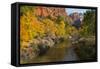 Utah, Zion National Park. Zion Canyon and Virgin River with Cottonwood Trees-Jaynes Gallery-Framed Stretched Canvas