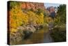 Utah, Zion National Park. Zion Canyon and Virgin River with Cottonwood Trees-Jaynes Gallery-Stretched Canvas