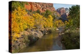 Utah, Zion National Park. Zion Canyon and Virgin River with Cottonwood Trees-Jaynes Gallery-Stretched Canvas