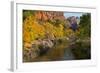 Utah, Zion National Park. Zion Canyon and Virgin River with Cottonwood Trees-Jaynes Gallery-Framed Photographic Print