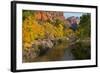 Utah, Zion National Park. Zion Canyon and Virgin River with Cottonwood Trees-Jaynes Gallery-Framed Photographic Print