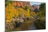 Utah, Zion National Park. Zion Canyon and Virgin River with Cottonwood Trees-Jaynes Gallery-Mounted Photographic Print